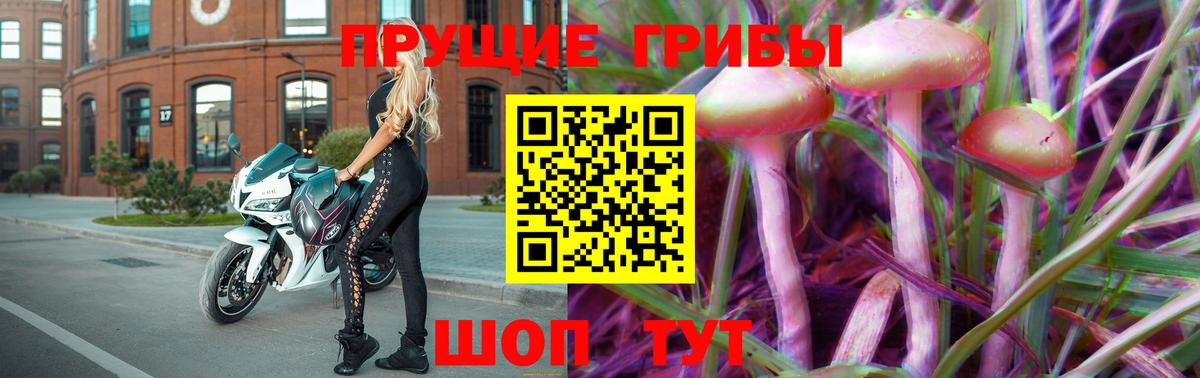 Галлюциногенные грибы GOLDEN TEACHER  Вход с VPN  Лесной  Псилоцибиновые грибы мицелий 