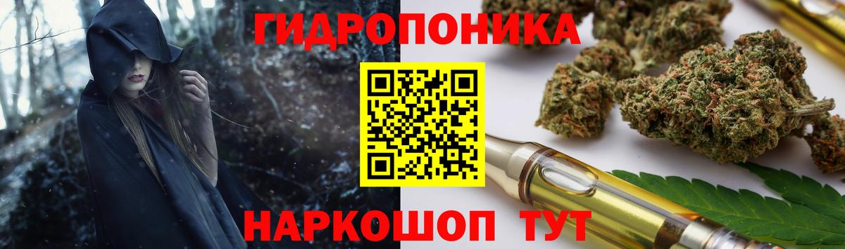 Марихуана семена  Шишки марихуана планчик  Вход с VPN  Бошки марихуана сатива  Бошки марихуана AK-47  Лесной 